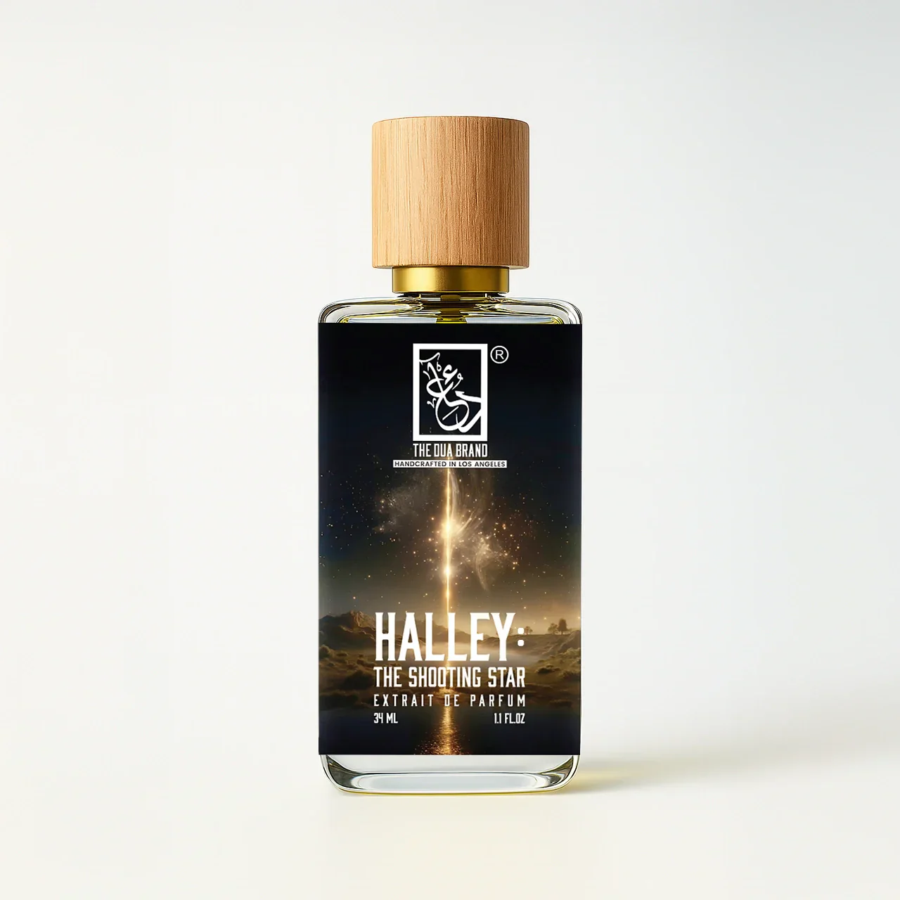 Halley: The Shooting Star